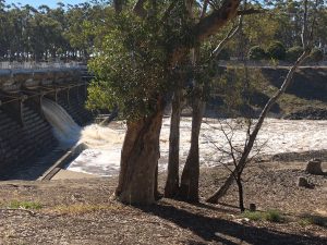 What’s the flow in the Goulburn?