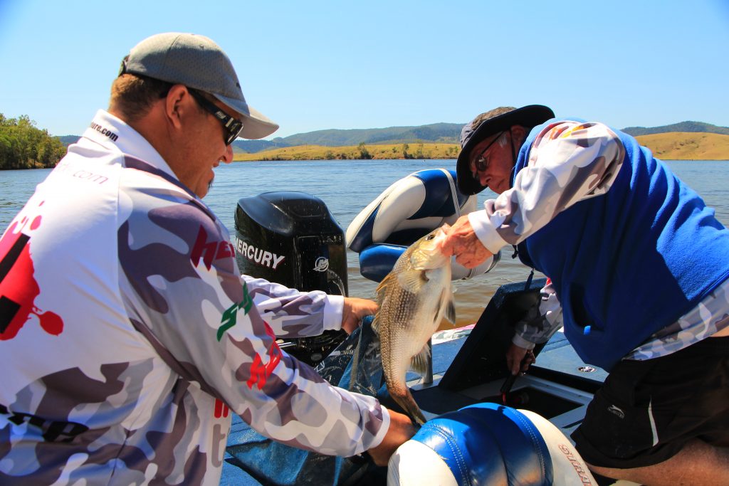 Rebuilding Catfish Populations in Northern Victoria - VRFish