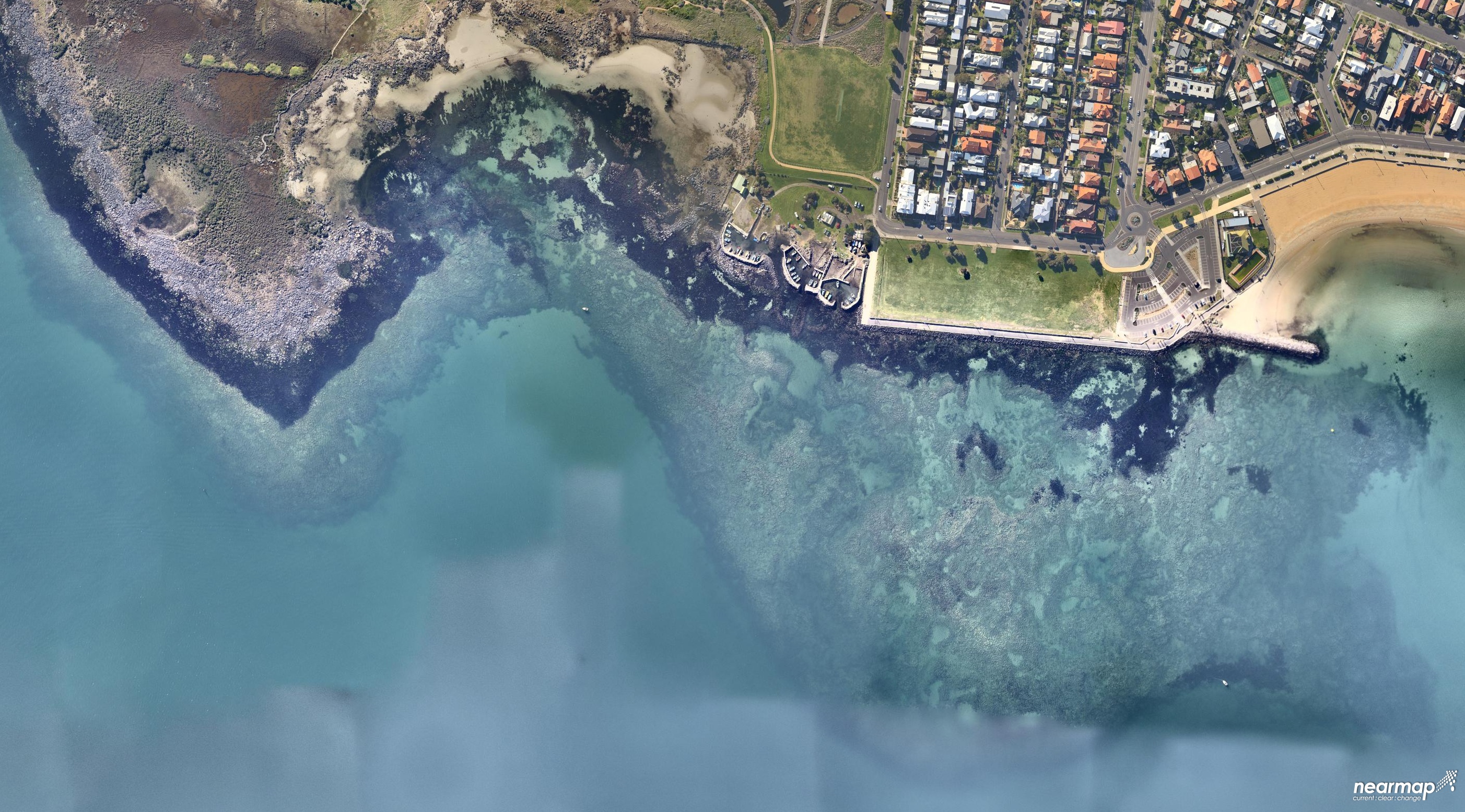 Sea Urchins taking over Port Phillip Bay VRFish