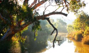 Barwon River through Geelong Recreational Area Management Plan