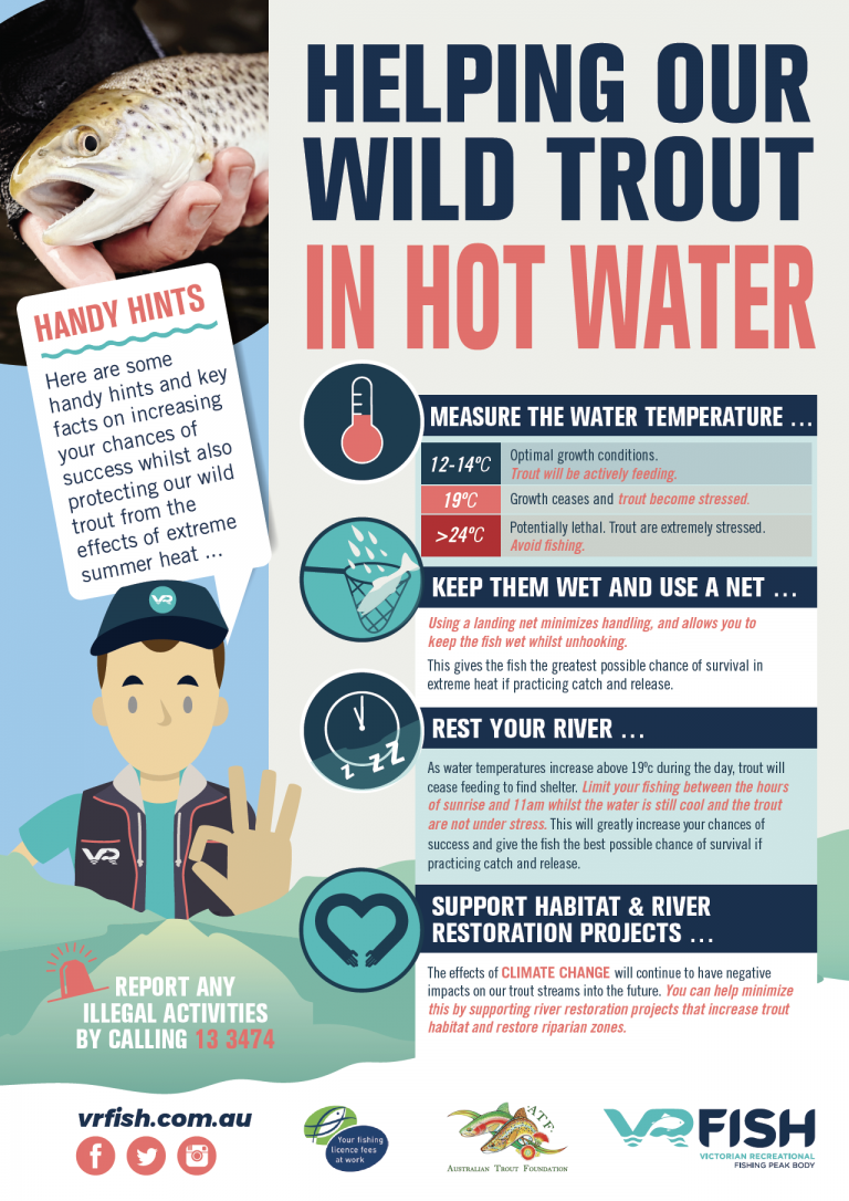 Trout and Salmonids VRFish