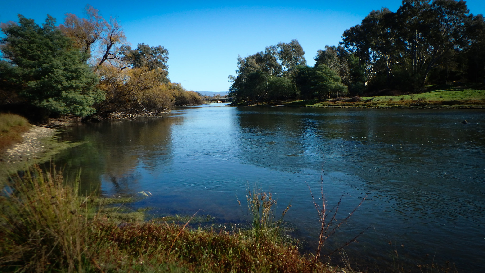 Clear Path For Riverbank Fishing and Camping VRFish